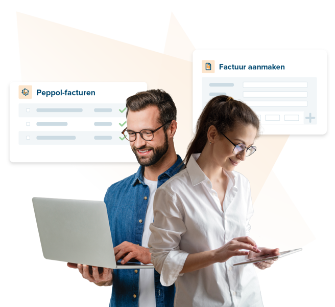 Hero ERP NL Billit ERP-dienstverleners